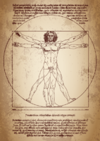 Vitruvian Man
